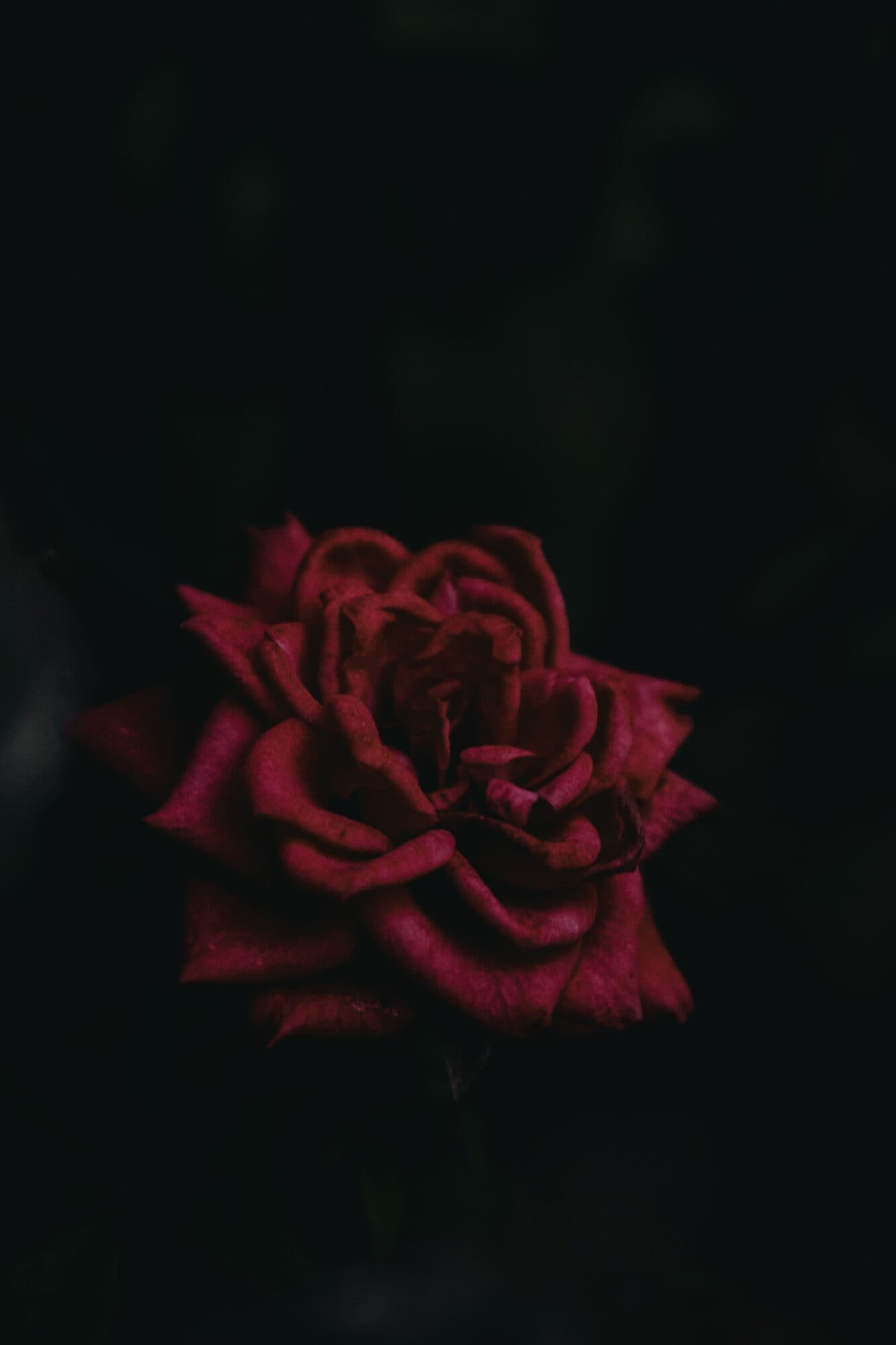 Atmospheric image representing Desire