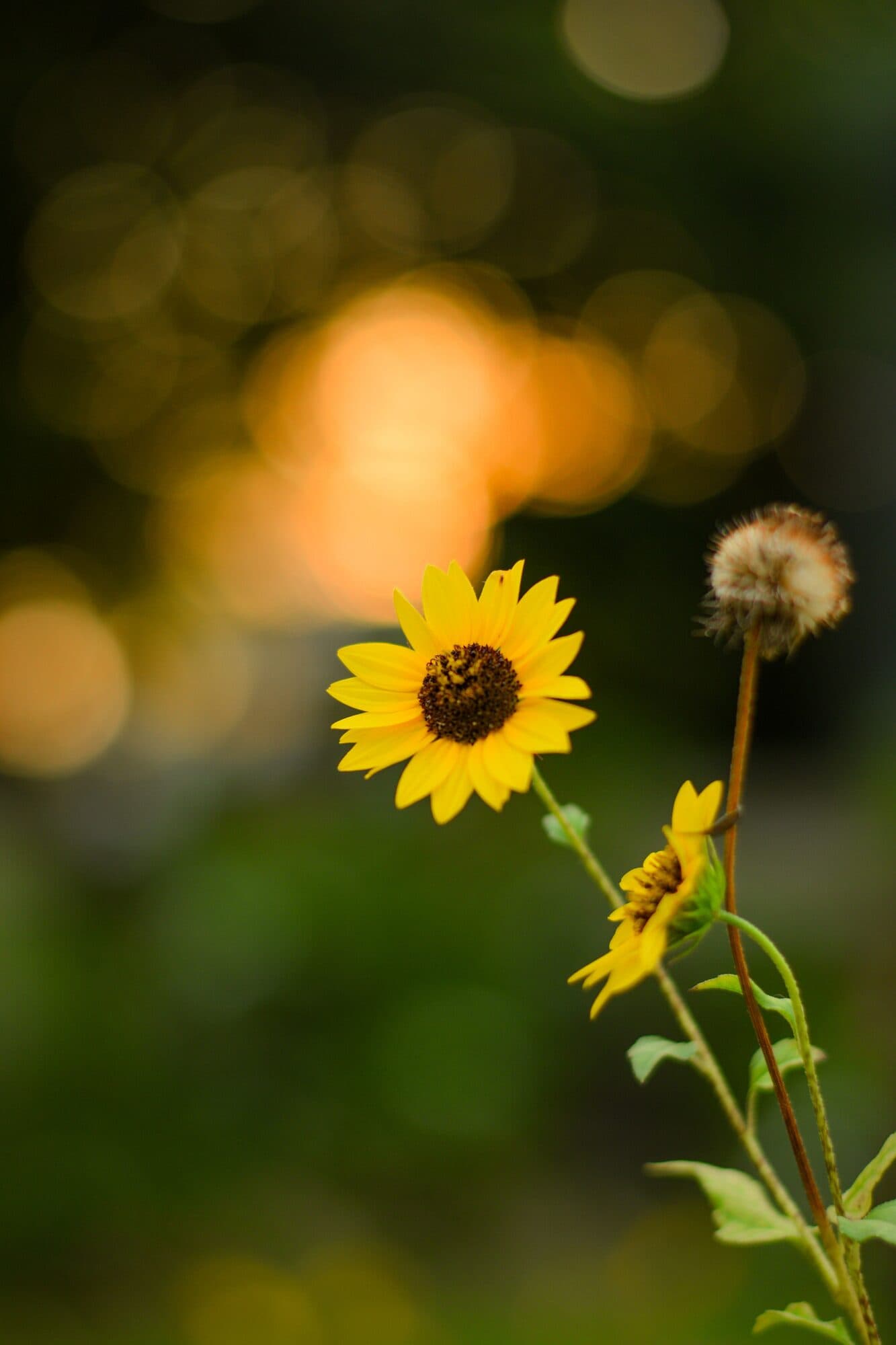 Atmospheric image representing Purpose